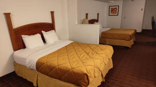 Banff Trail Hotel | Metro Inn