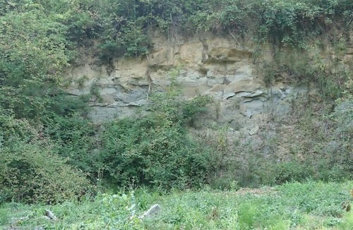 Noaillac House | Meublé 2/4 personnes