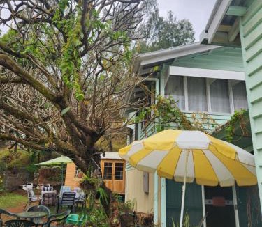 Mount Morgan House | Meyenburg House