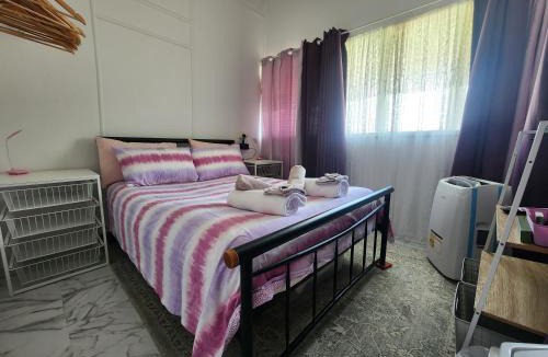 Mount Morgan House | Meyenburg House