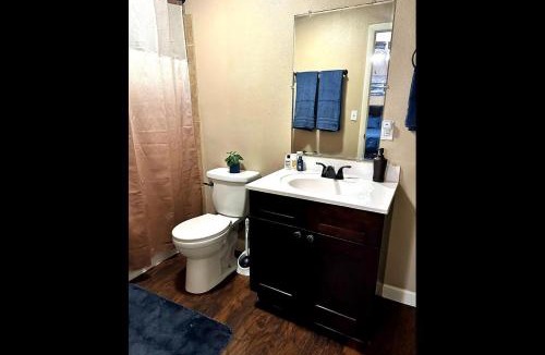 Lakeland Apartment | Miami Court Single Cottage #3