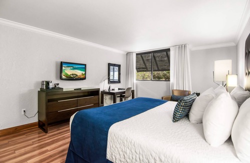 Miami Lakes Hotel | Miami Lakes Hotel