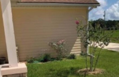 Hawthorne House | Micanopy Dream Home