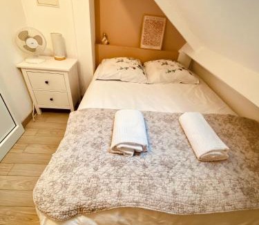 Tours City Centre Apartment | MiCASA, Studio avec Clim hyper centre