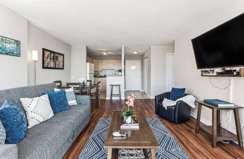 South Loop Condo | MICH AVE #5|Safe DTown Grant Park, Museums 2bd/2ba