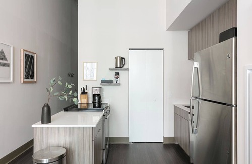 Printers Row Condo | Mich Ave Downtown Penthouse - Rooftop+Gym
