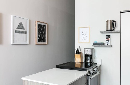 Printers Row Condo | Mich Ave Downtown Penthouse - Rooftop+Gym