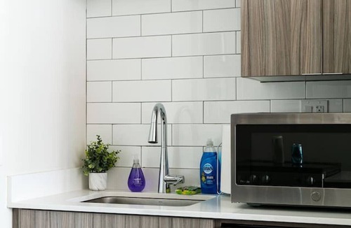 Printers Row Condo | Mich Ave Downtown Penthouse - Rooftop+Gym