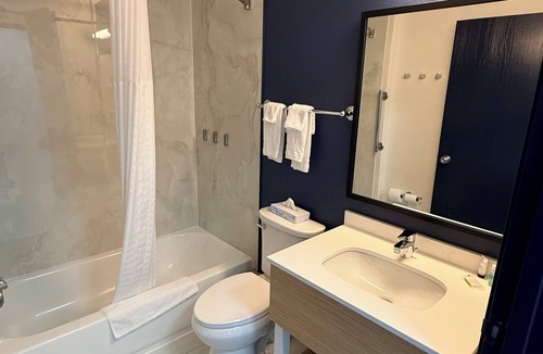 Appleton Hotel | Microtel Inn & Suites by Wyndham Appleton