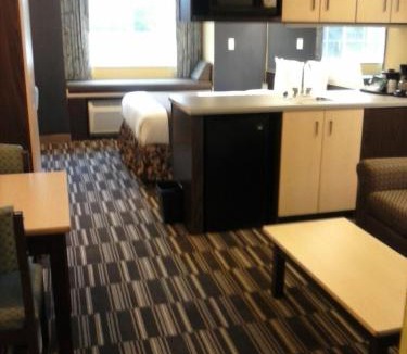 Fortson Hotel | Microtel Inn & Suites Columbus North