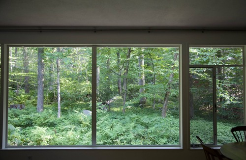 Lexington House | Mid Century in Historic Lexington