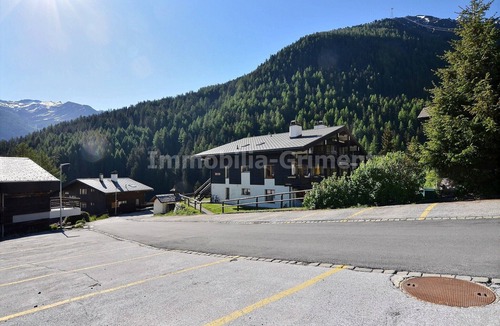 Grimentz Apartment | Middle class flat for 4 people, small living room with fireplace, kitchen area with dishwasher, 1 sm