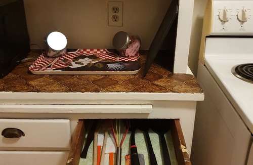 Midtown Sacramento Apartment | Midtown pearl