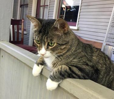 Boulevard Park House | Midtown Vibe