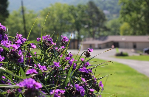 Lampe Cabin | Mill Creek Resort on Table Rock Lake
