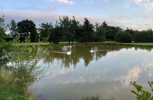 Alva House | Mill Glen