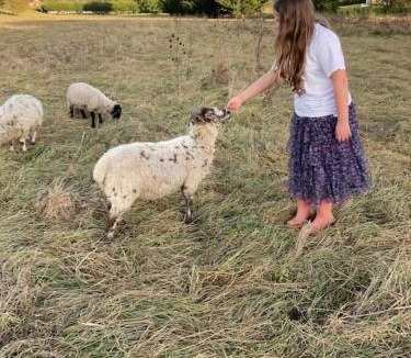 Ardens Grafton Ski Chalet | Mill Lodge