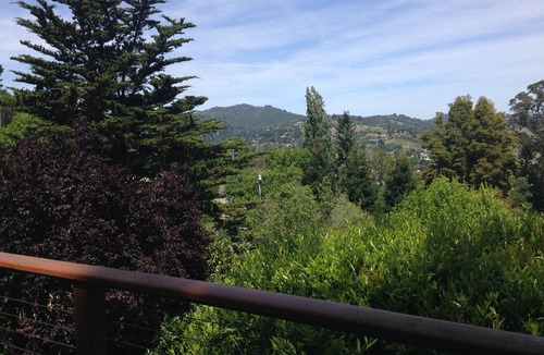 Almonte House | Mill Valley Mid Century Modern + Gorgeous View