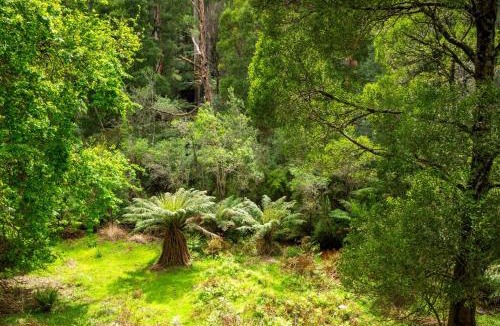 Powelltown House | Millers Rest