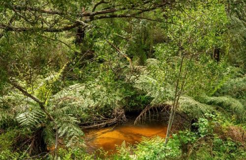 Powelltown House | Millers Rest