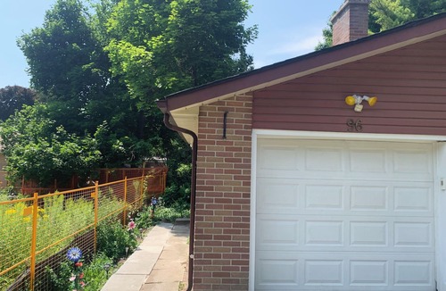 Richmond Hill Apartment | Millpond Basement Unit #1(of 2 Units)