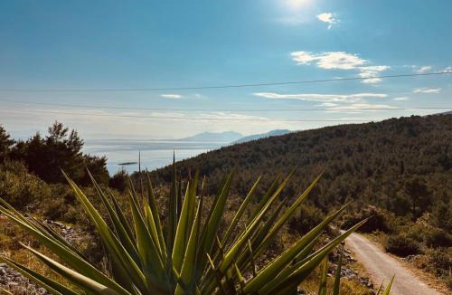 Prigradica House | Milton holiday house