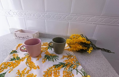 Talavera de la Reina Apartment | Mimosa Home