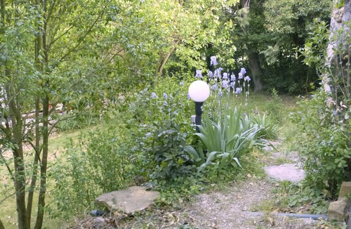 Thoiras Cottage | Mimosa on a hillside, gite 4/6 pers, 2 suites