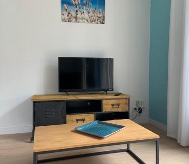 Plestan House | Mimosas