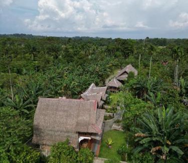 Bohorok Cabin | Mimpi of Orangutan Adventure, TREK ONLY BOOK WITH US