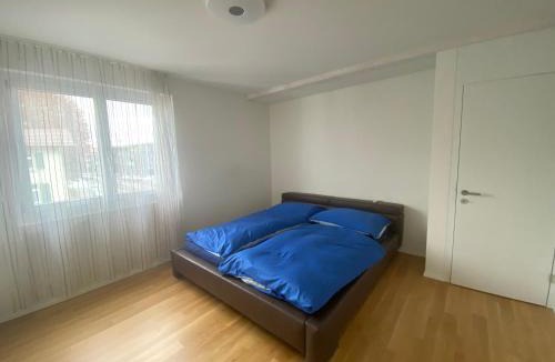 Rickenbach Apartment | Minergie mit gratis Tiefgaragenplatz