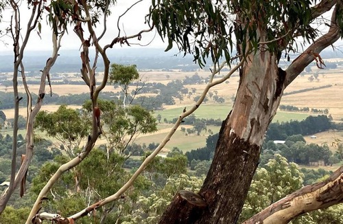 Lancefield House | Miners Cottage lancefield