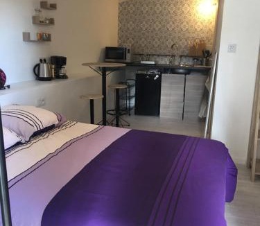 Songeson House | Mini gîte Hérisson - 18m2