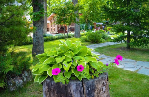 Vladivostok Hotel | Mini Hotel Kedrovaya Pad