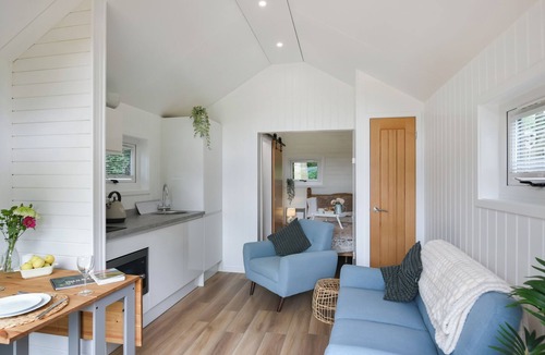 Hyssington Cottage | Mini Lodge - UK47682