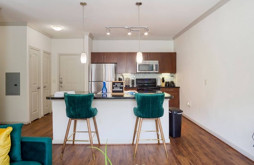 South Main Apartment | MINS FROM NRG Stadium & Medical Center