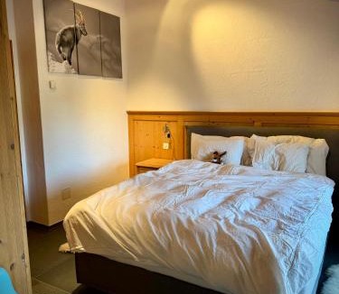 Laax Apartment | Mira Piz Signina - Wunderbare Dachwohnung mit Blick in die Berge