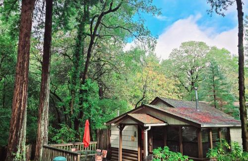 Myers Flat Hotel | Miranda Gardens Resort