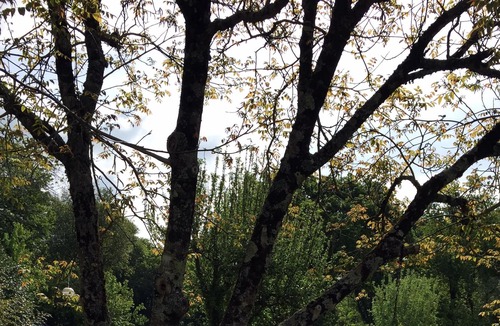 Theix-Noyalo House | Miro Room