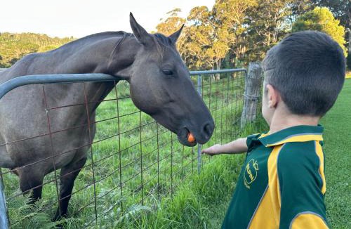 Berambing House | Mirradong Cottage