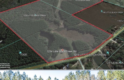 Lamar County Cottage | Miss Harmony Starr Farms