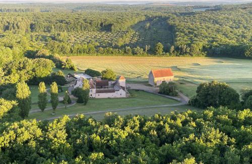 Asquins House | Misty