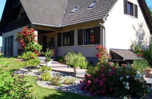 Oberhaslach Apartment | Mittenbach