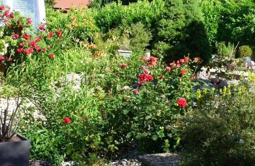 Oberhaslach Apartment | Mittenbach