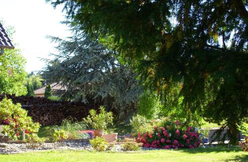 Oberhaslach Apartment | Mittenbach