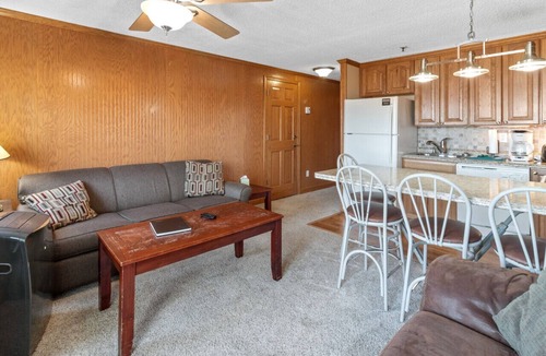 Edray Condo | ML324 Charming & Rustic 1BR/1BA, relaxing mountain view (Connects to ML326)