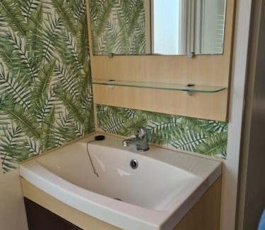 La Boissiere-de-Montaigu Other | Mobil-home 5 places