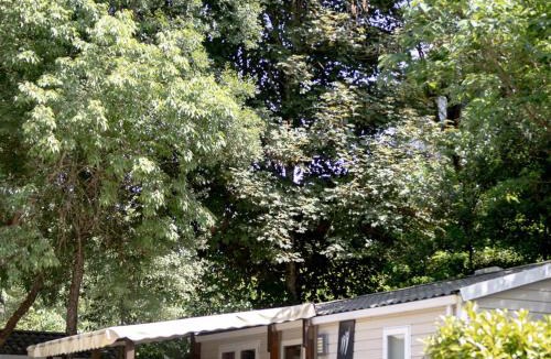 Salavas Other | Mobil-home 32m² à Salavas avec Terrasse, pour 5 personnes - API-1-52-1180