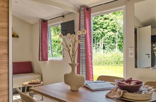 Concourson-sur-Layon Other | Mobil-home 6 pers avec terrasse - Nouvel style! - API-1-52-1613