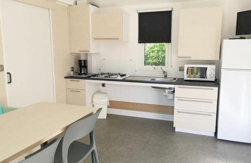 Chaille-les-Marais Other | Mobil home 6 pers PMR avec terrasse à Chaillé-les-Marais - API-1-52-343